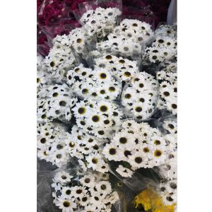 گلهای بدون تزیین محصول شماره 9000