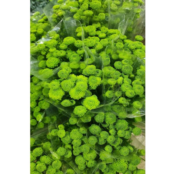 گلهای بدون تزیین محصول شماره 9002