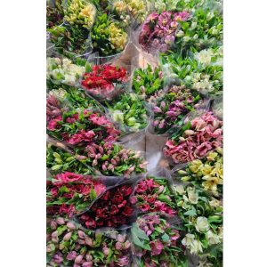 گلهای بدون تزیین محصول شماره 9003