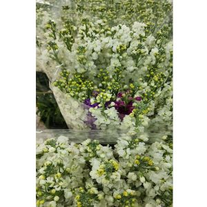 گلهای بدون تزیین محصول شماره 9004
