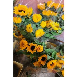 گلهای بدون تزیین محصول شماره 9005