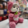عروسک خرس لباس شخصیتی لاتسو محصول شماره B2011 - تصویر 3